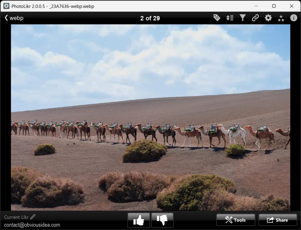 Caravane de chameaux marchant dans un paysage désertique. - également une capture d’écran de l’application Photolikr avec les boutons de menu et d’actions.
